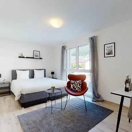 Furnished Studio #104 - Swiss Daire Aigle